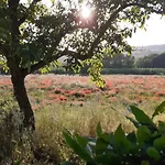 Pozzo 2e 3 Frassineta
