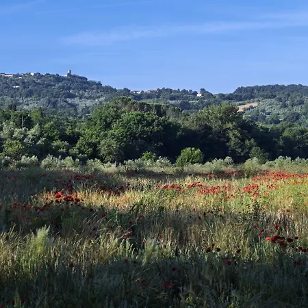 Pozzo 2e 3