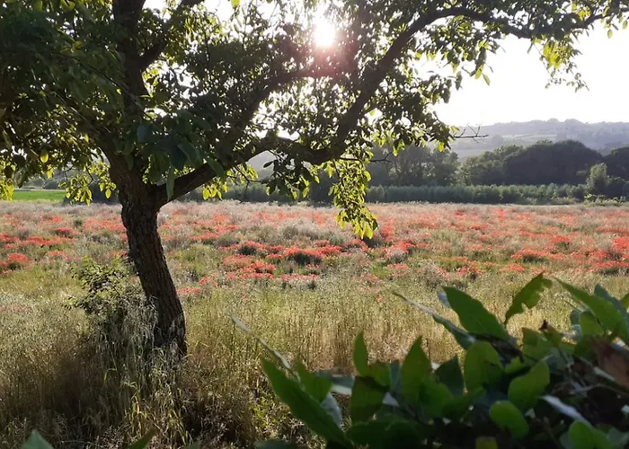 Pozzo 2e 3 Frassineta